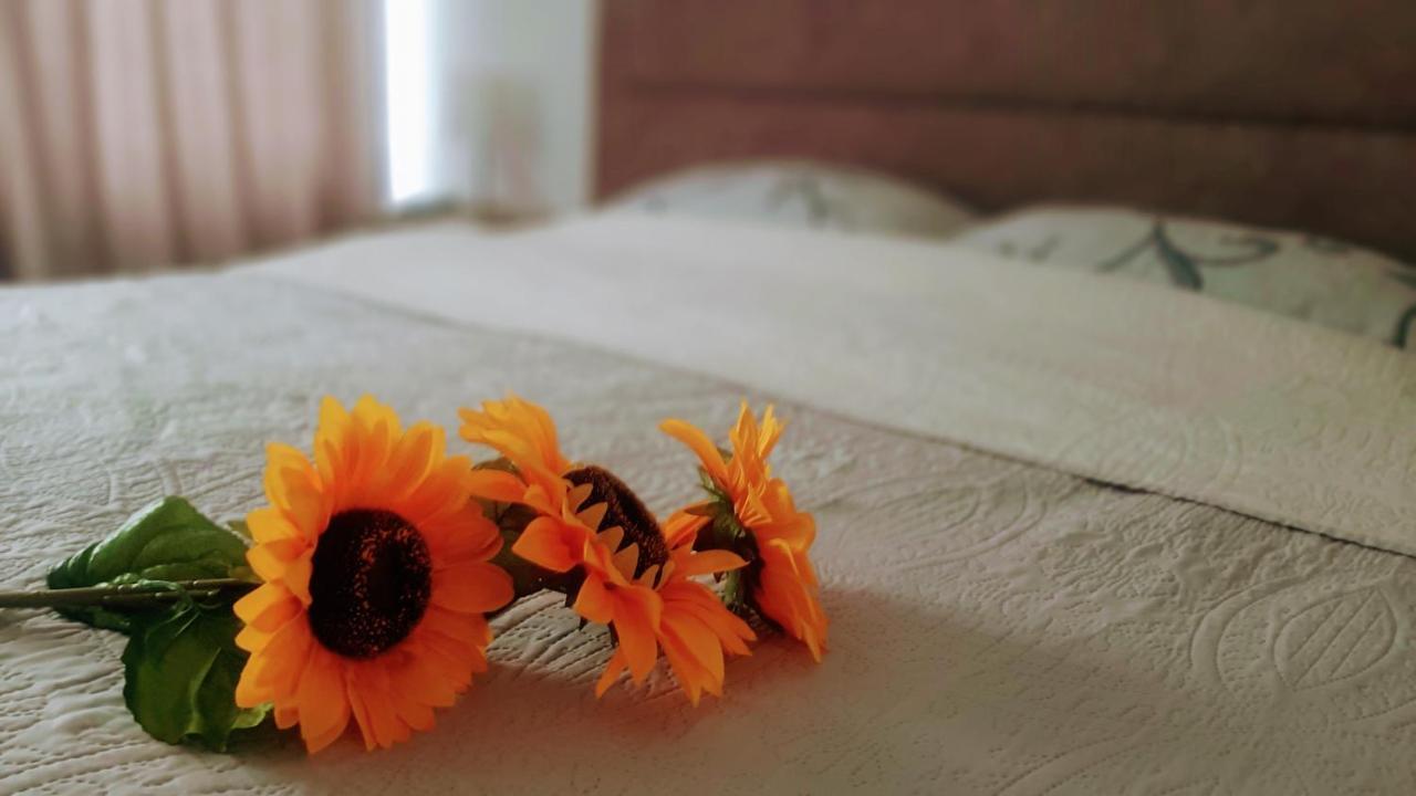 Sunshine Apartament